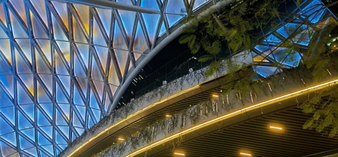 深圳华润万象前海商业花境设计及落地丨中国深圳丨深圳本末度景观设计有限公司-102