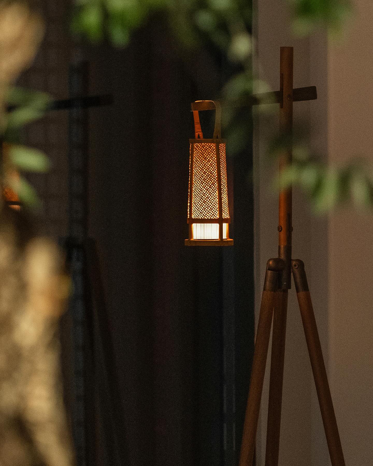 自然中的静谧沉思-57