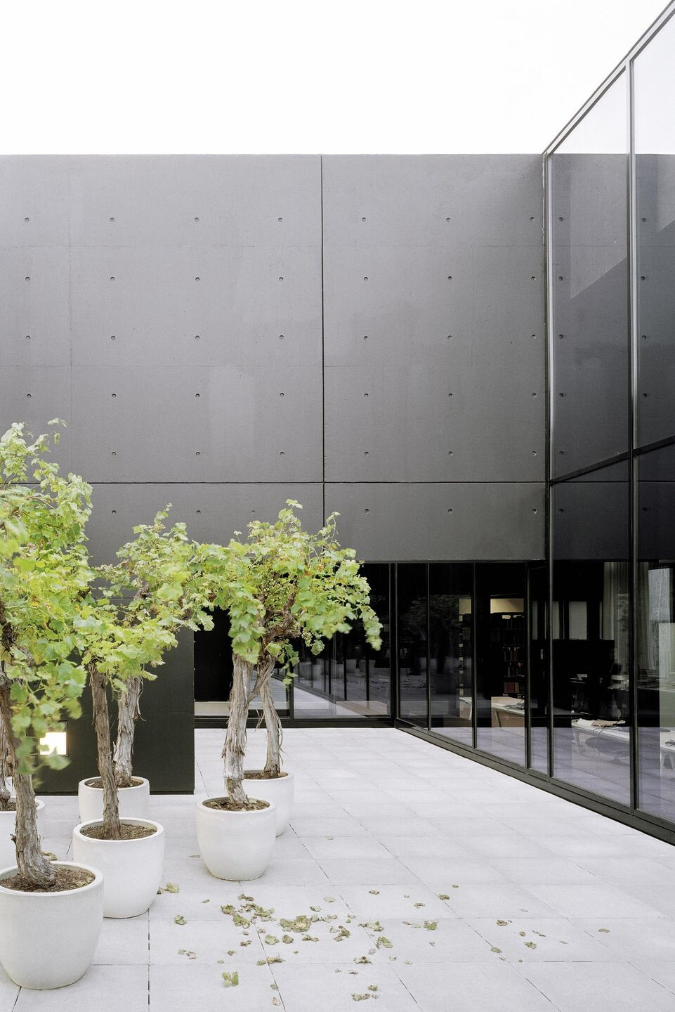 乌得勒支大学图书馆-42