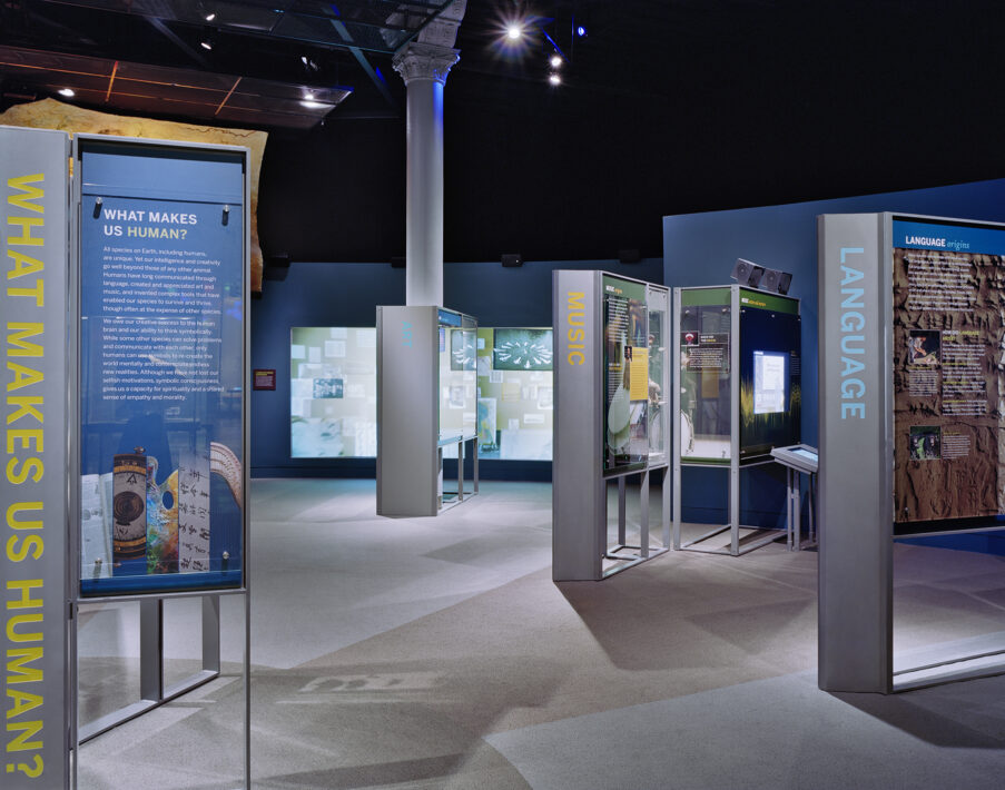 美国自然历史博物馆人类起源展厅丨美国纽约丨Perkins Eastman-2