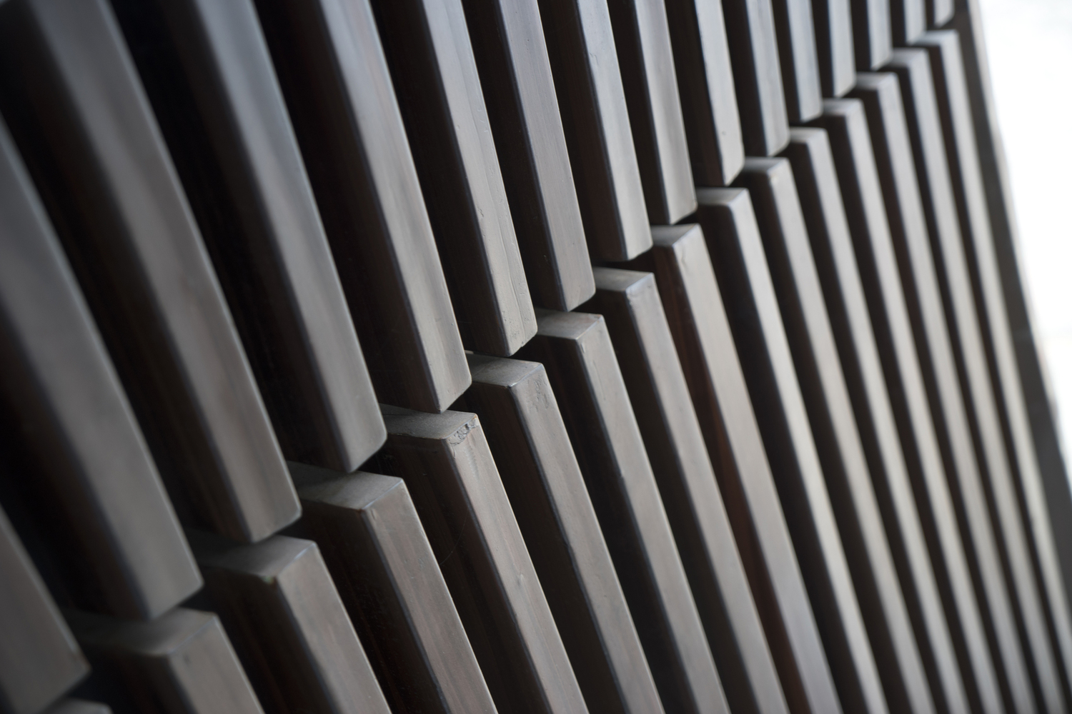 ‘S’ HOUSE  Simple Projects Architecture-54