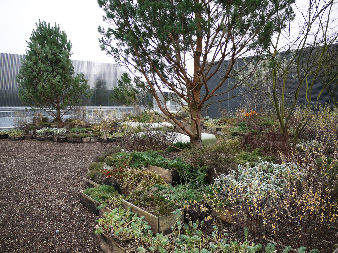 苏黎世艺术大学屋顶花园-43