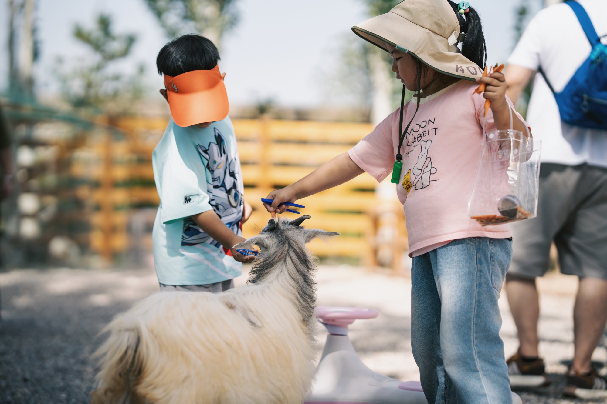 宁夏银川兰多多亲自然乐园丨中国银川丨阿普贝思UP+S-109