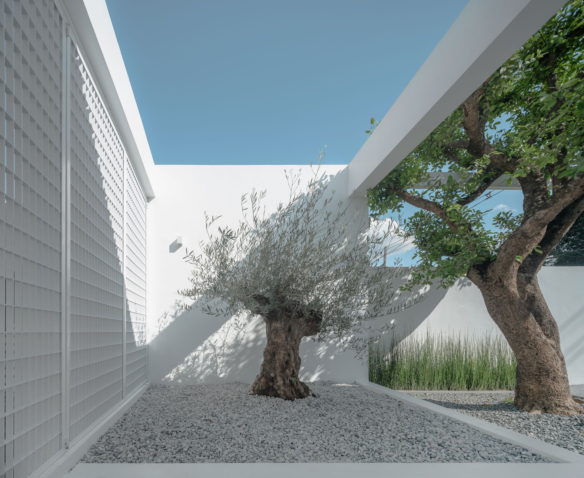 众议院 C+I丨泰国清迈丨blankstudio-34