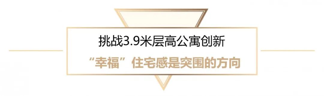 3.9 米层高下的“家”梦想-25