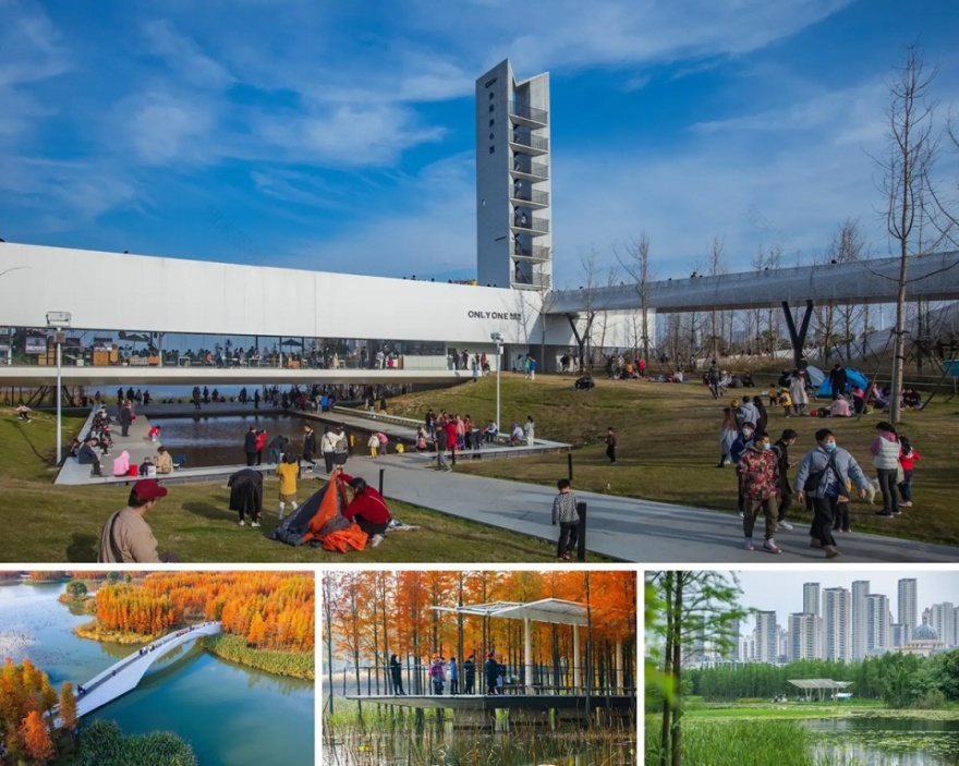 漂浮的森林:南昌市鱼尾洲公园丨中国南昌丨土人设计-49