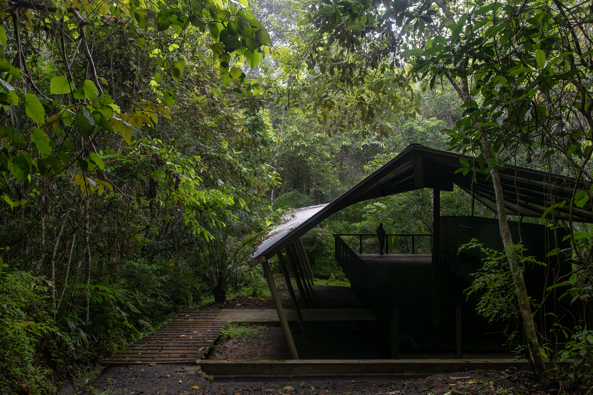 Refuge in the Rainforest - Tour Guide Training Center / Héctor Ayarza + Estudio Garúa-25