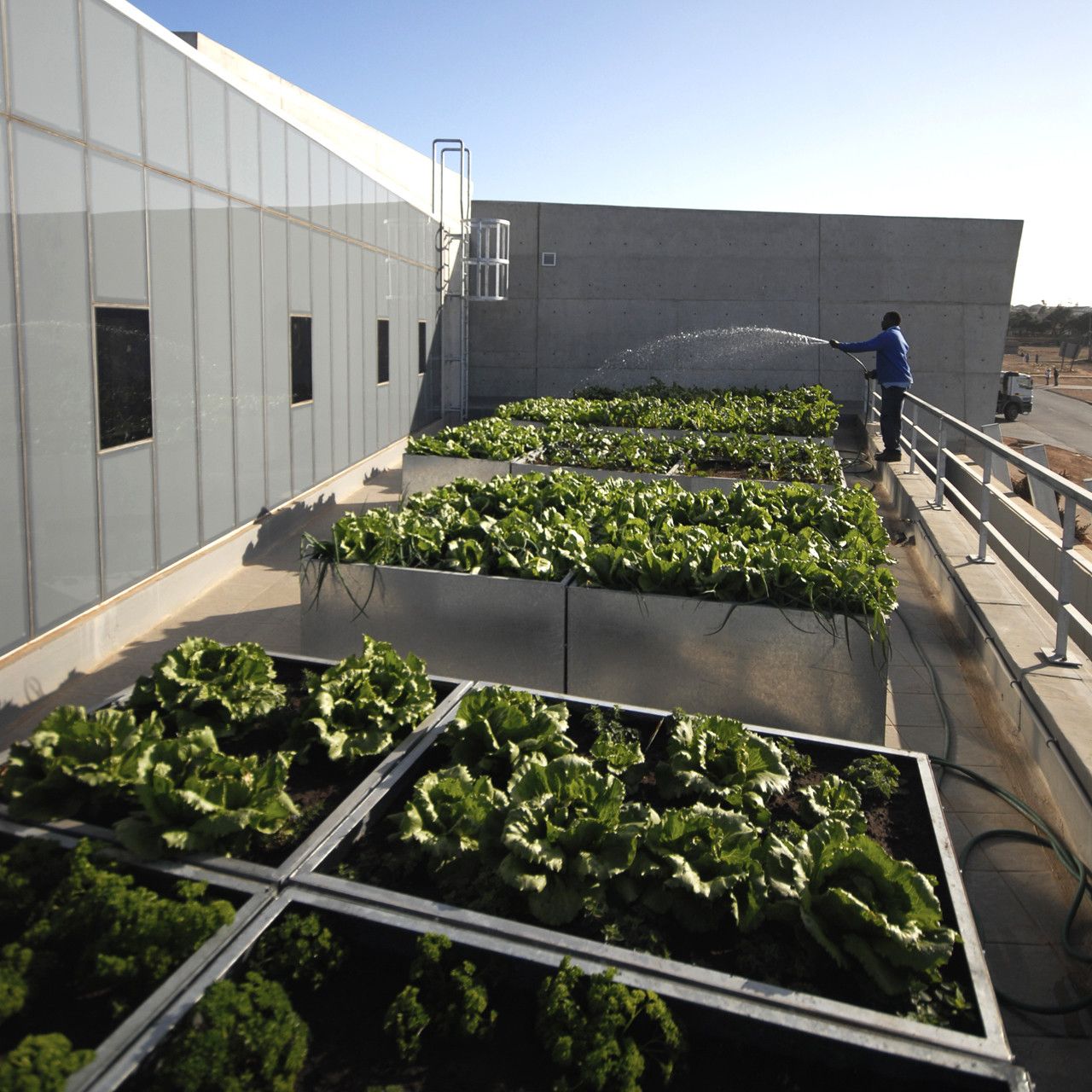 南非 Ubuntu 中心 | 建筑与环保的共生-21