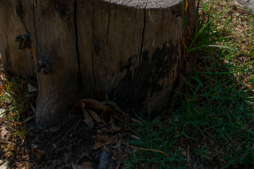 Tocón 建筑模型-6