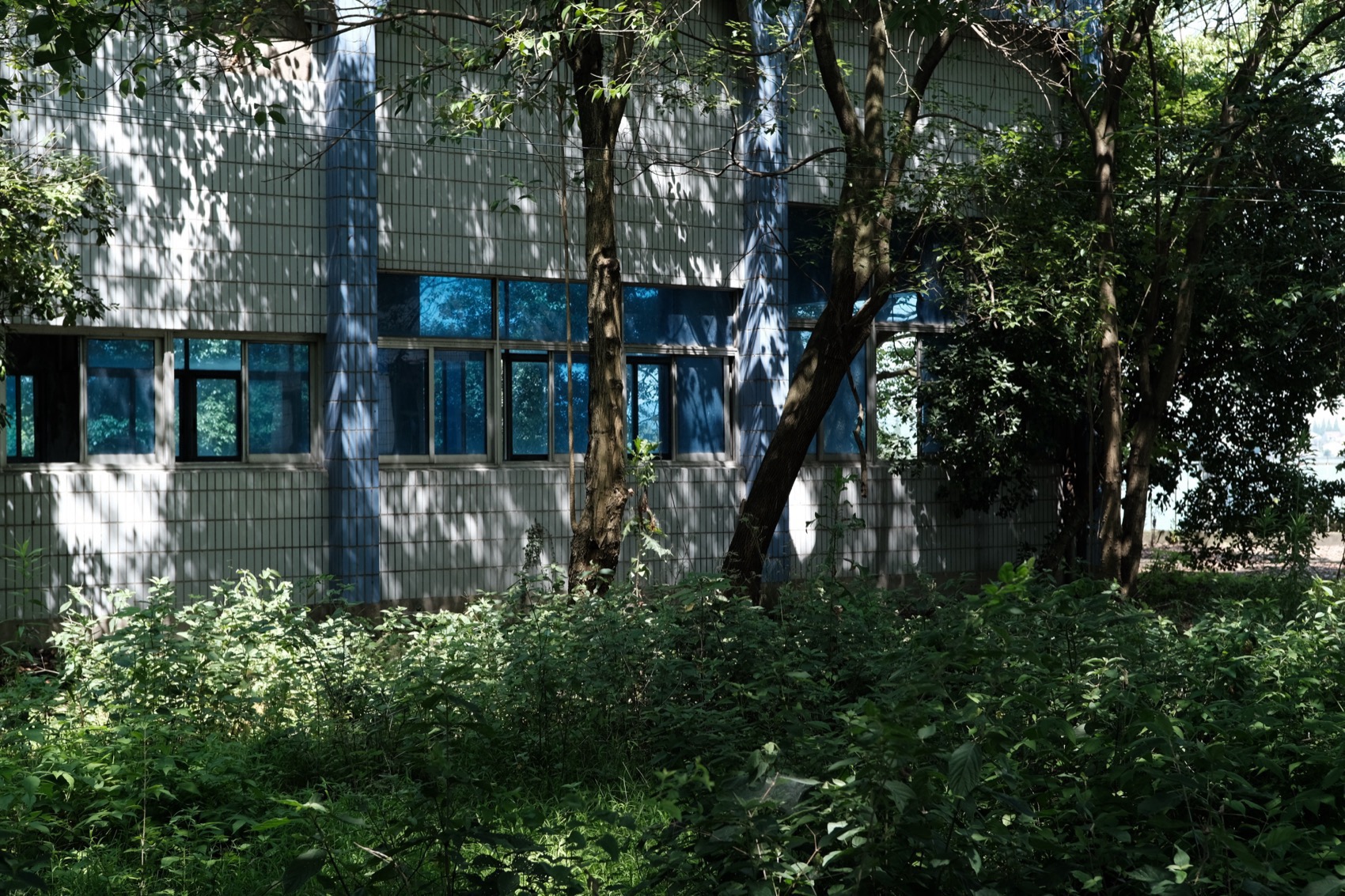 先锋鉴湖书店(鉴湖取水岛市政设施更新项目)丨中国绍兴丨大舍建筑设计事务所等-83