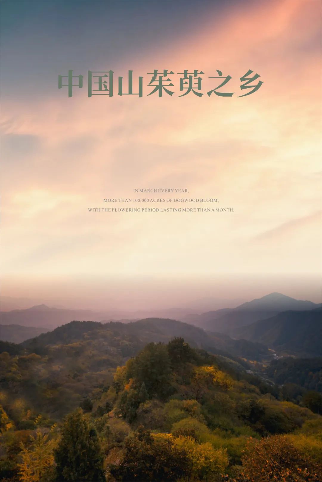 西安佛坪·龙草坪康养酒店丨中国西安丨科图设计-2