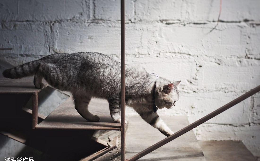 《非典型诗意》·广州红专厂 CAL Architects 工作室-47