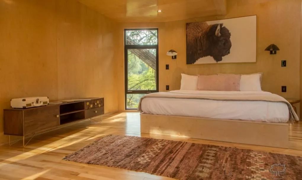 德克萨斯州横溪树屋 | 自然与艺术的完美融合-10