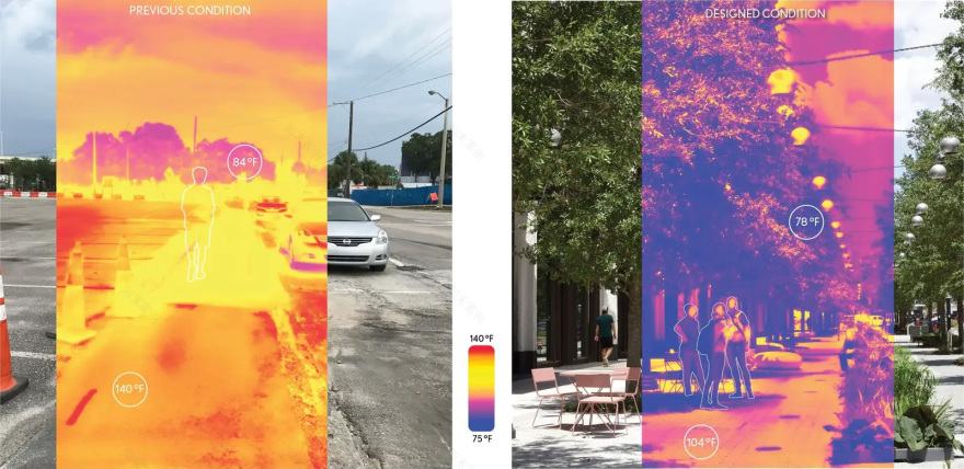 坦帕水街的连绵树冠丨美国丨Reed Hilderbrand-25