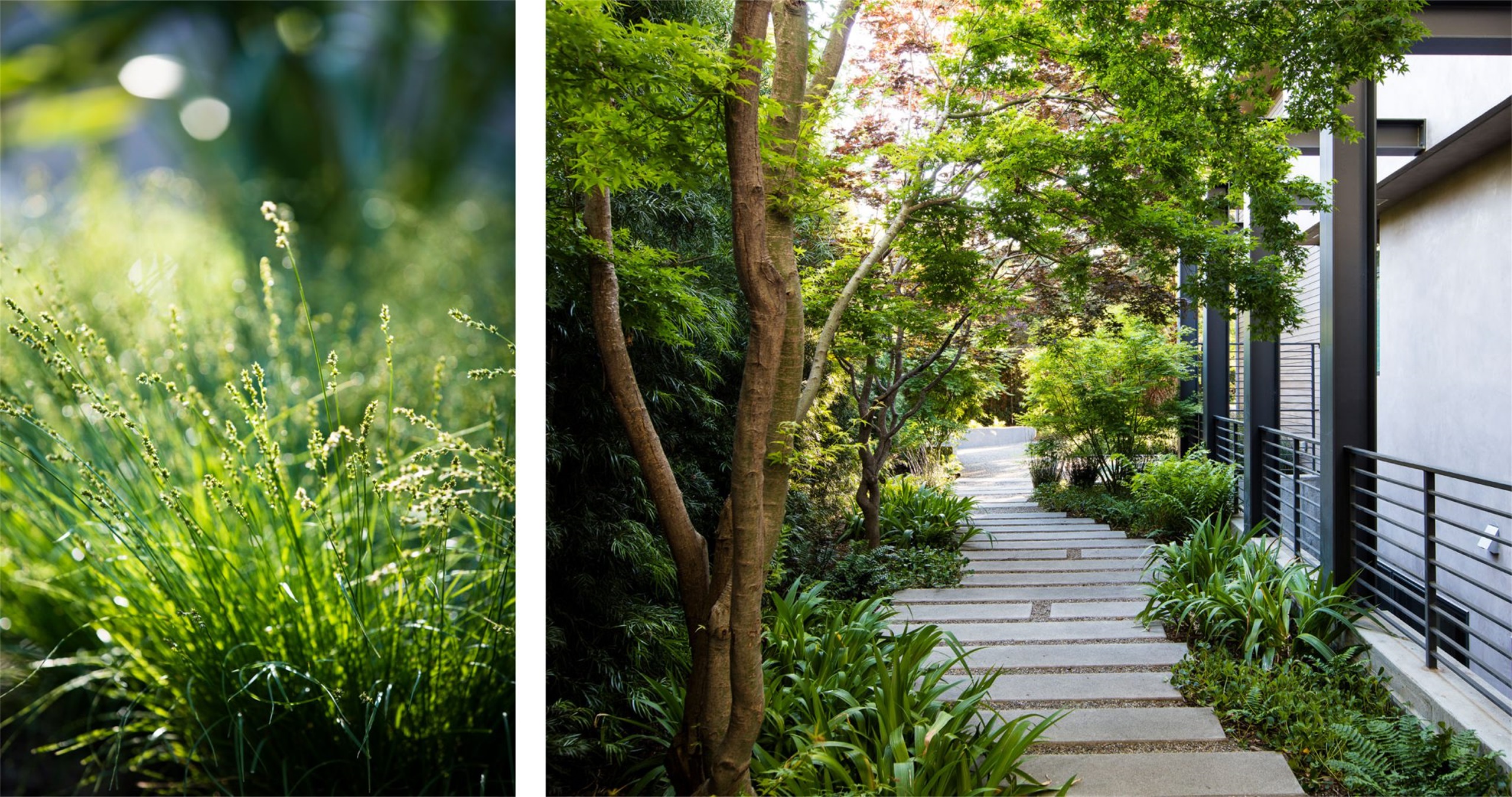 自然生长 · 私宅景观丨美国加利福尼亚-117