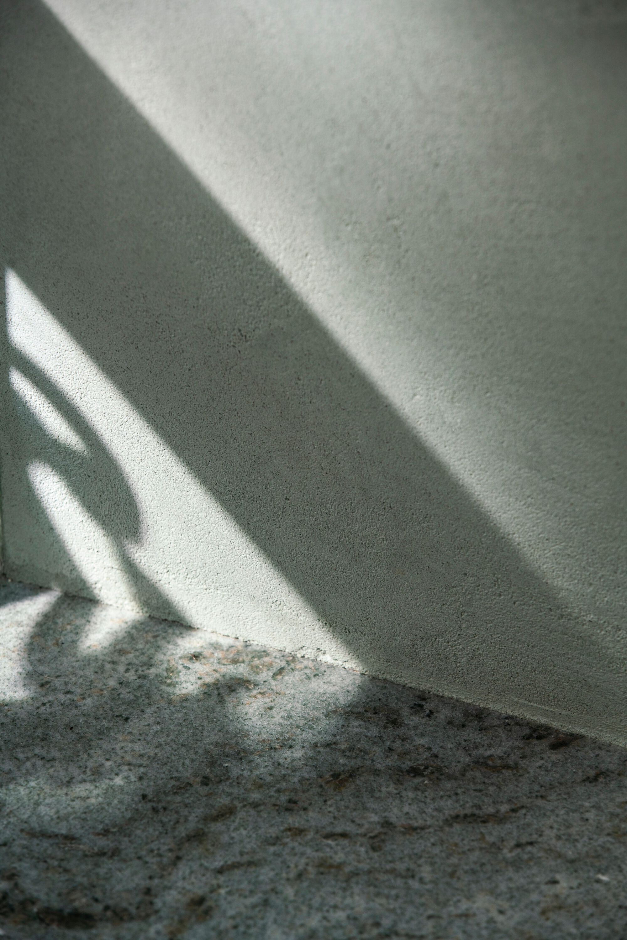 11 号房屋丨葡萄牙里斯本丨Camarim Arquitectos-31