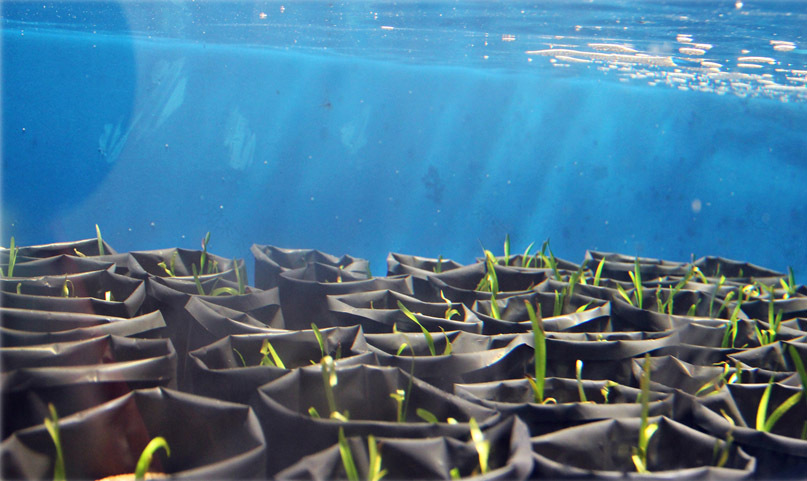 森林城市,马来西亚 / Sasaki-30