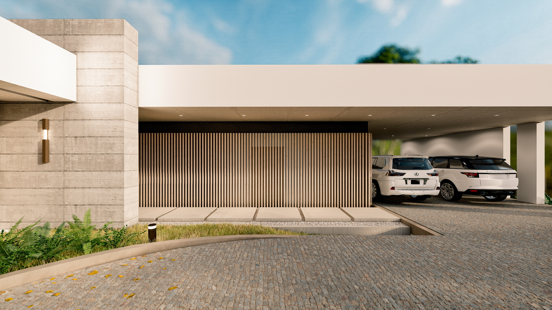 当地的本土的天然的原生的丨哥斯达黎加蓬塔雷纳斯-18