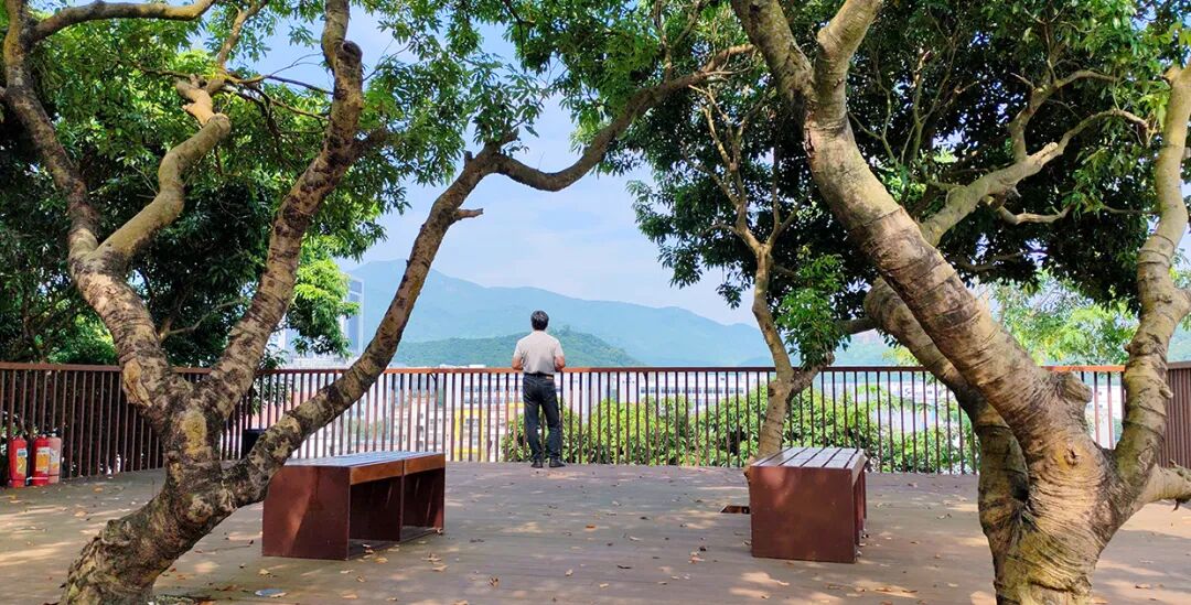 新闻|荣誉高光鹏城实验室园区荣获深圳市风景园林协会质量等级评定规划设计类优秀奖！-141