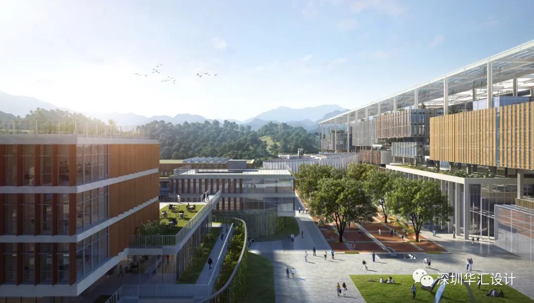 天津大学佐治亚理工深圳学院校区丨中国深圳-34