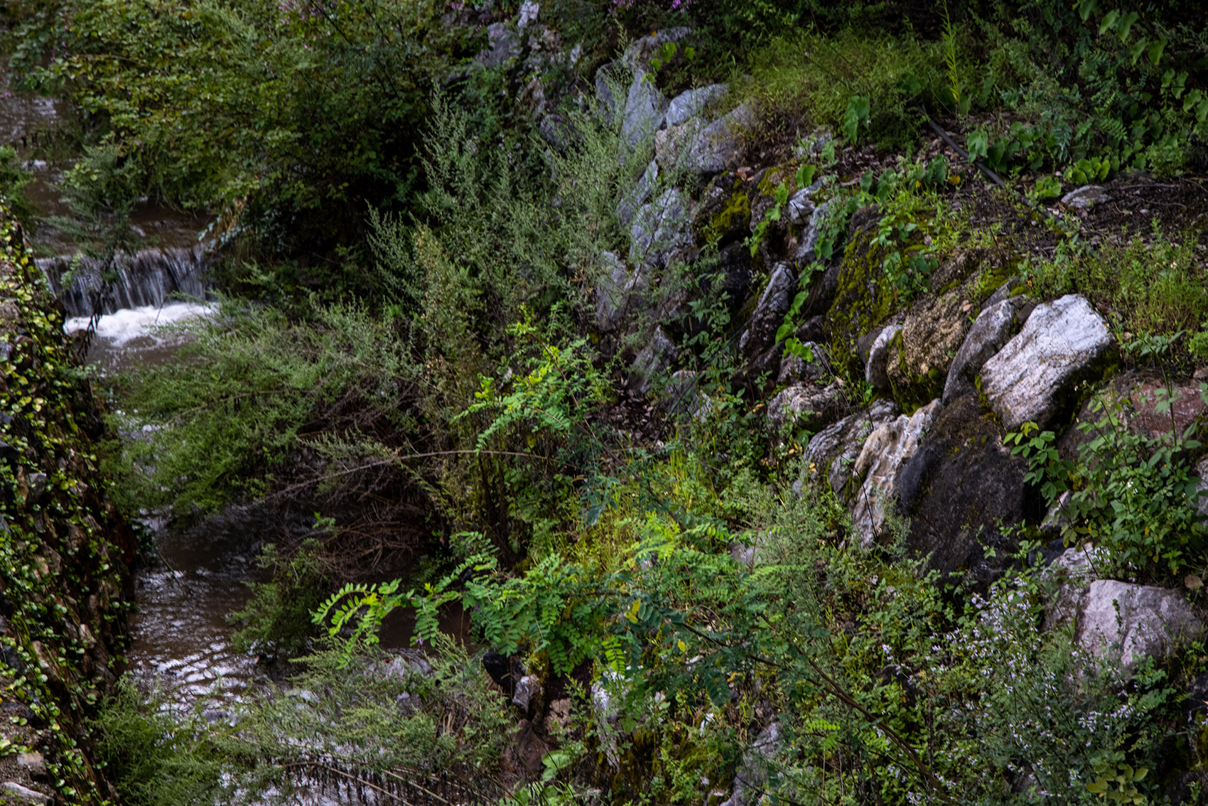 HYLLA WULU乌鲁花园丨中国丽江丨Z’scape致舍景观-143