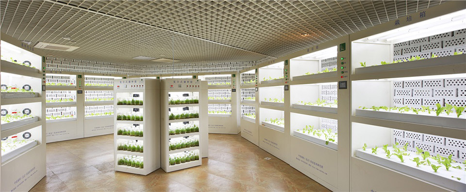 唐山世界园艺博览会·植物风情馆 / 三磊设计-25