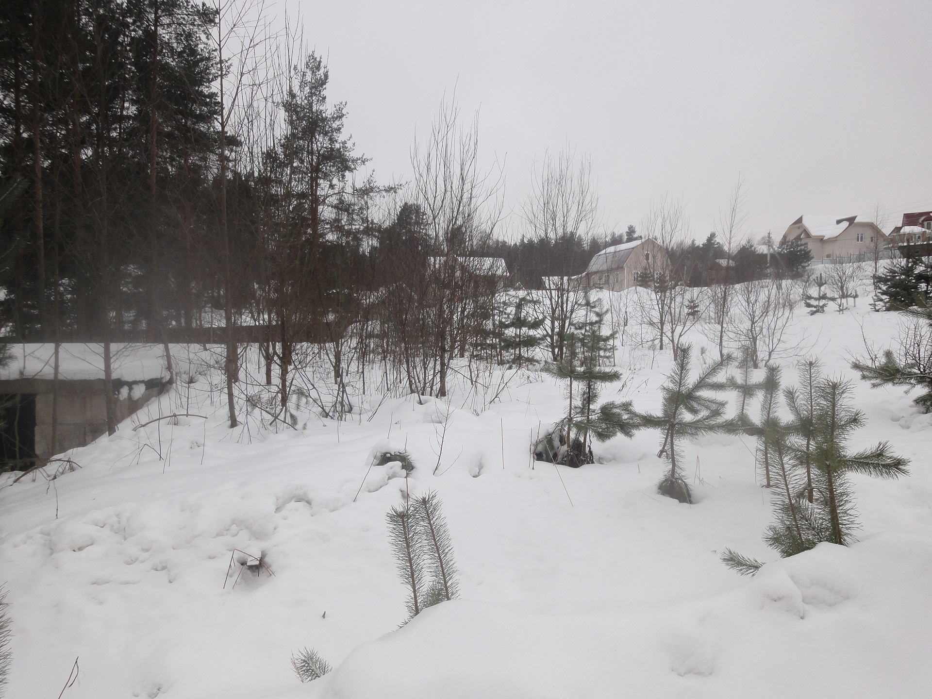 郊区房屋美化与绿化项目-3