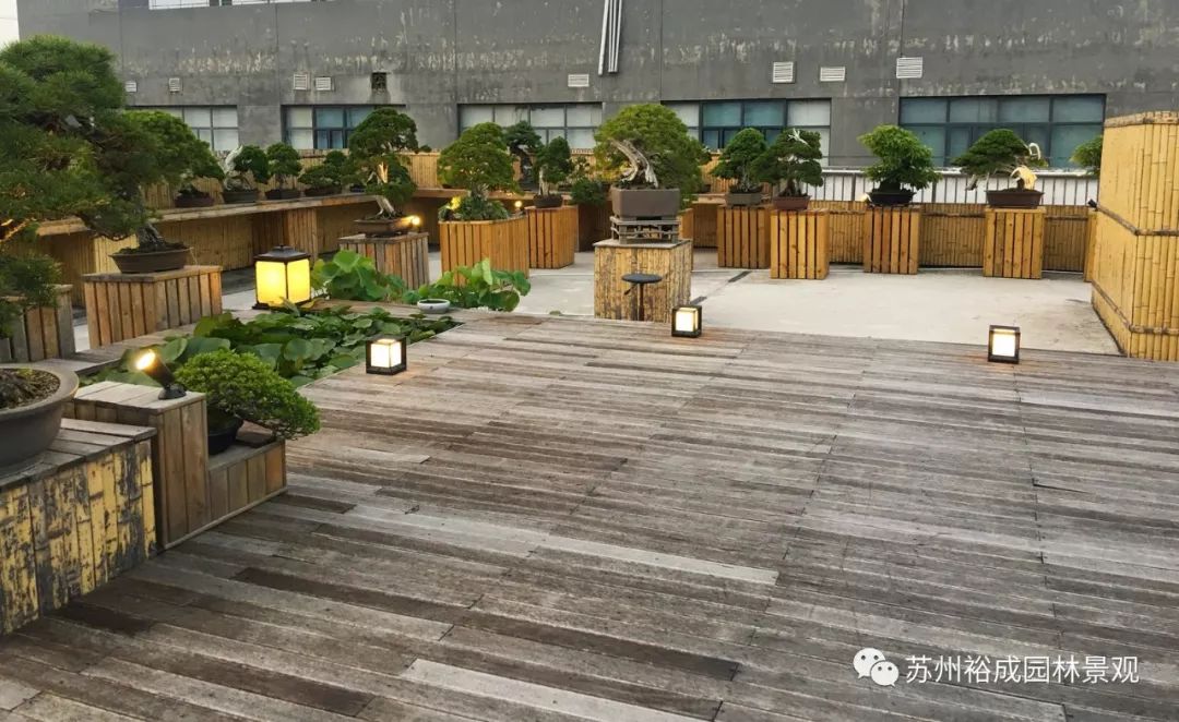 禅意屋顶花园,品茗抚琴如诗如画-5