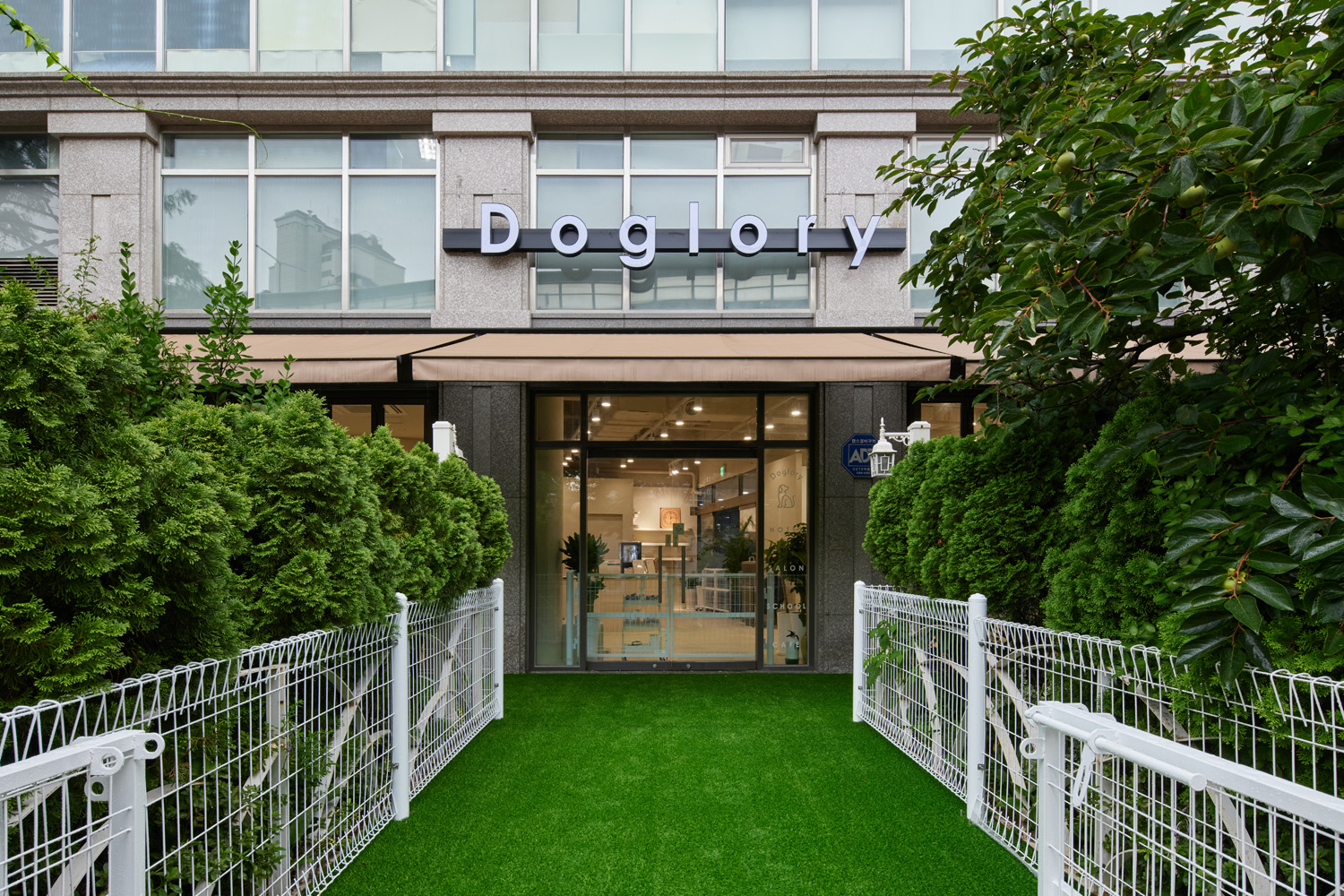 70 平宠物酒店，打造温馨如白洞咖啡馆的氛围-2