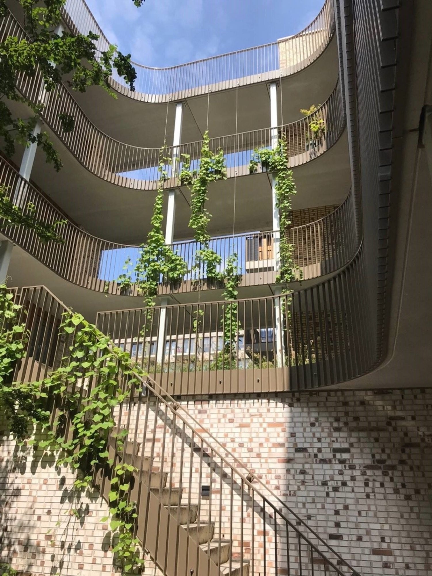 绿意盎然的城市校园 · 阿姆斯特丹 Lieven 公寓丨荷兰阿姆斯特丹丨Bureau B+B-11