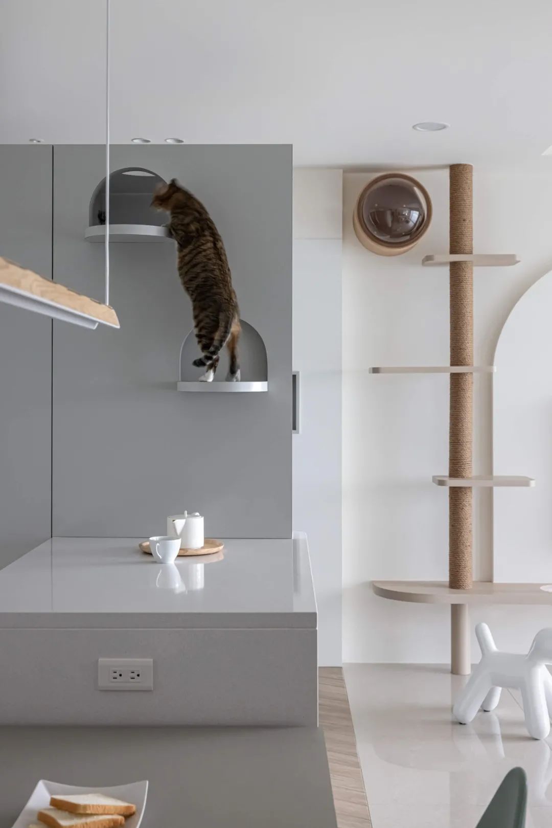 120㎡猫奴的家，温润自由的开心乐园！-21