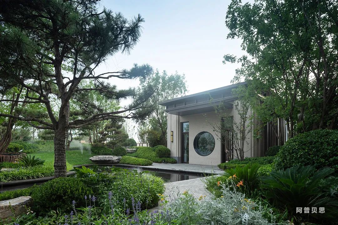 唐山国茂府丨中国河北丨UP+S 阿普贝思-57