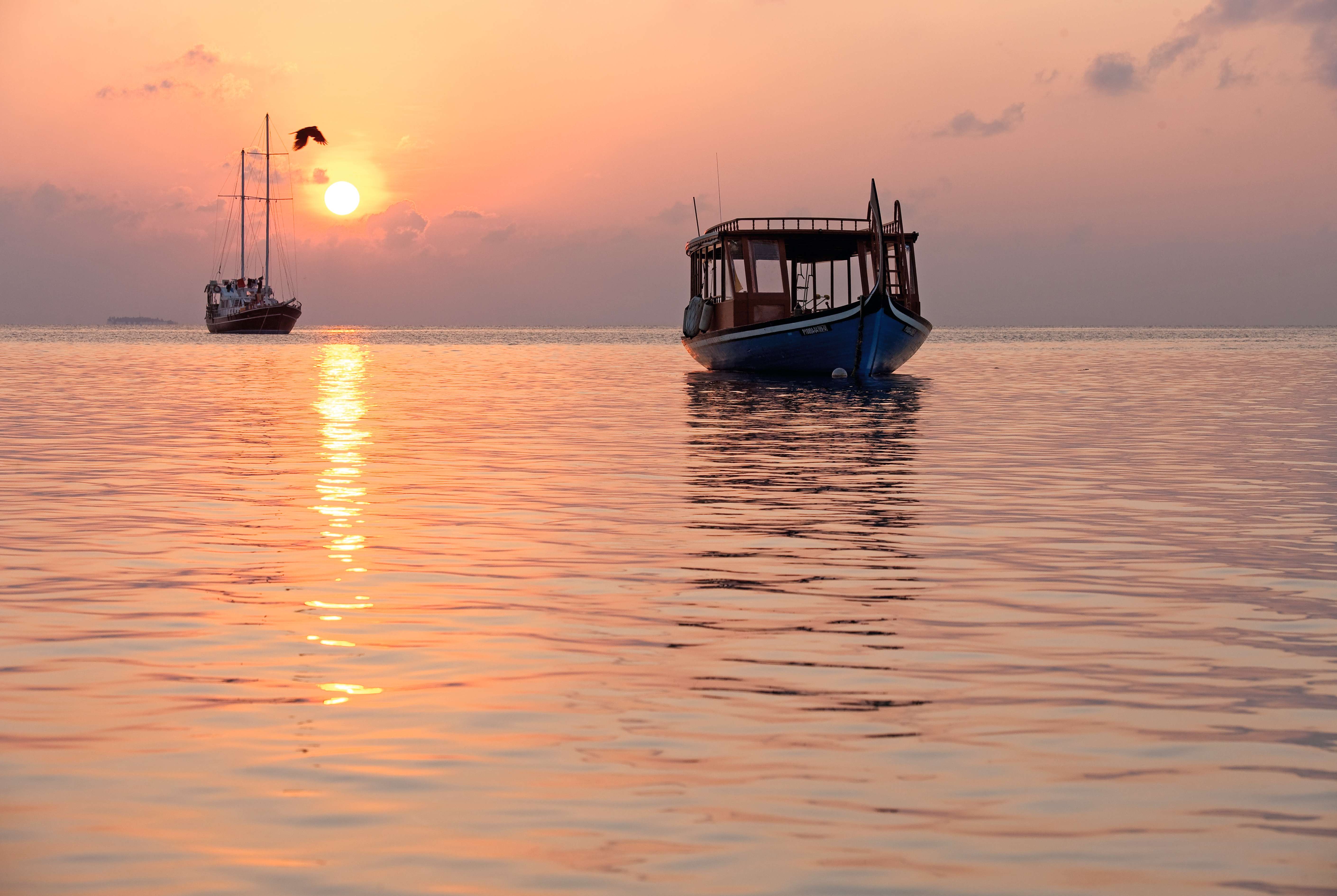 马尔代夫魔富士岛酒店度假村-3-62