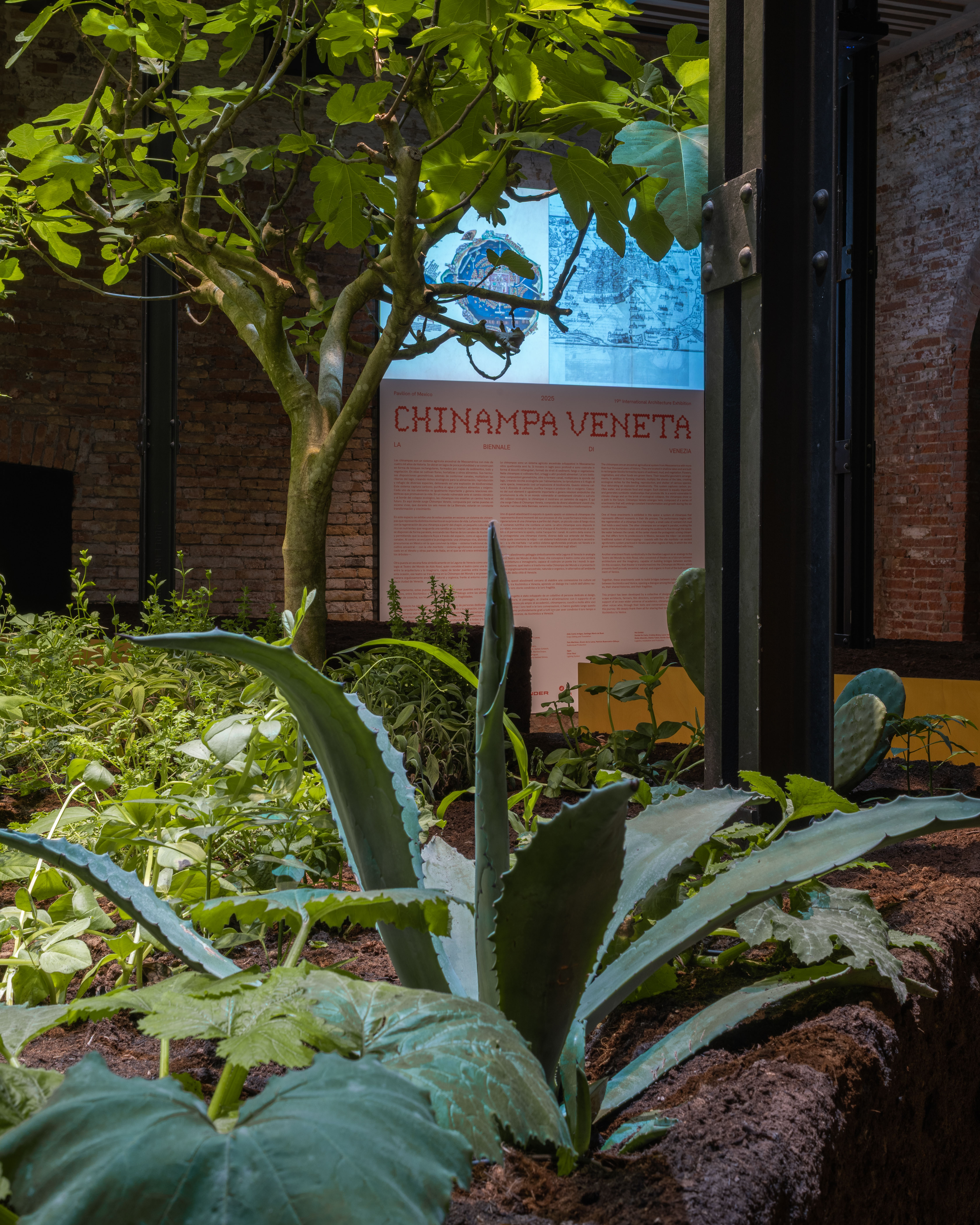 第 19 届威尼斯国际建筑双年展：墨西哥馆，探索古老农业系统的生态潜力-21