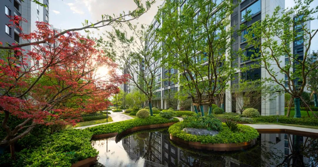 美好交付 | 金华君启，礼序生活之境，融汇自然诗意-26