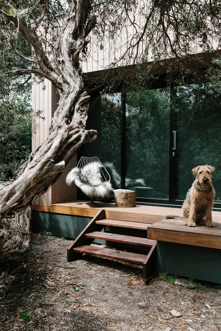 澳大利亚海滨度假别墅 | 兼顾社交与隐私的家庭空间-26