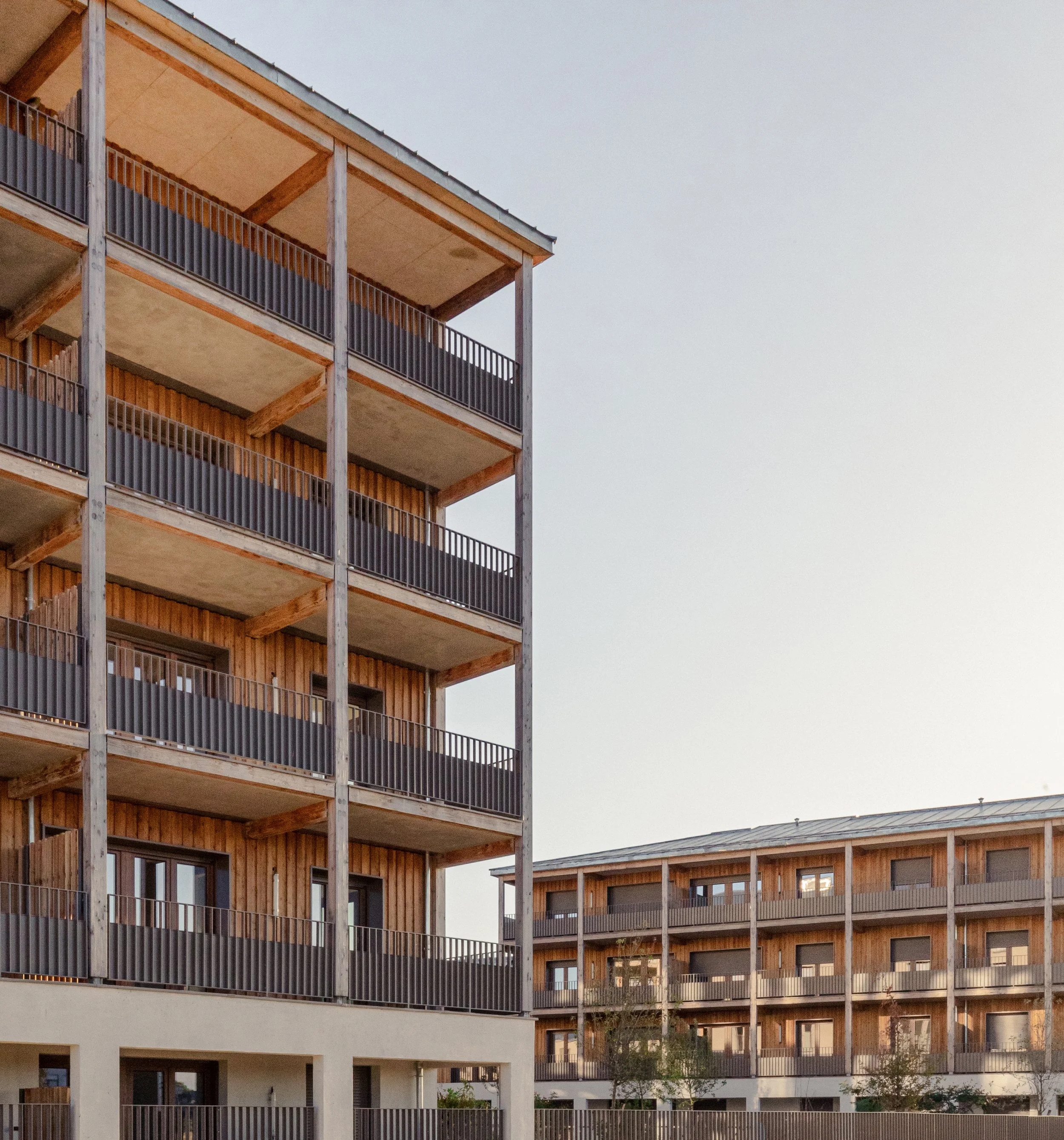 西科莫尔，比西圣乔治 · 宫殿（注：SYCOMORE或为专有名字等，如果有特定背景准确信息可能更合适的译法；Palast可能拼写有误，正常德语宫殿是Palast ，英文宫殿是Palace ） 丨palast,Résonnance,ALTO ingénierie等-0