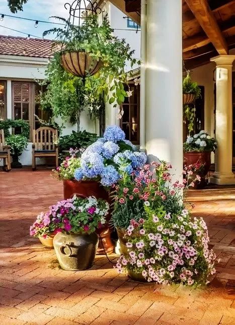 可移动的花园-18