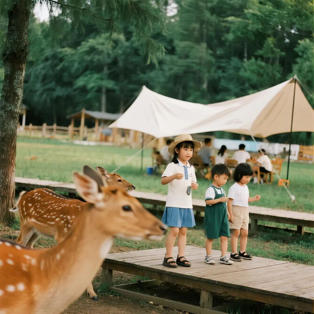 华中城郊秘境康养疗愈营地：中草药种植疗愈综合体规划设计建造运营-90