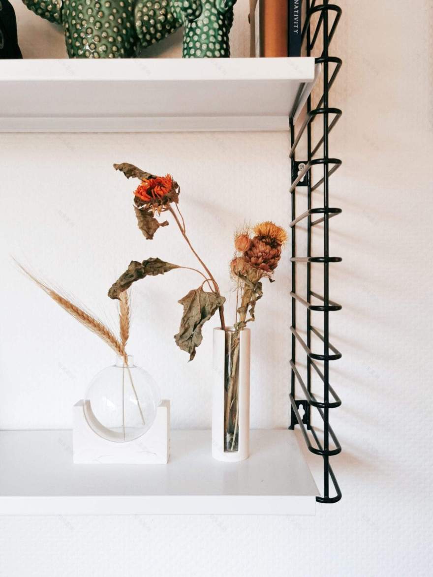 植物剪切新时尚 | 比利时 House Raccoon 设计的水晶 propagation station-16