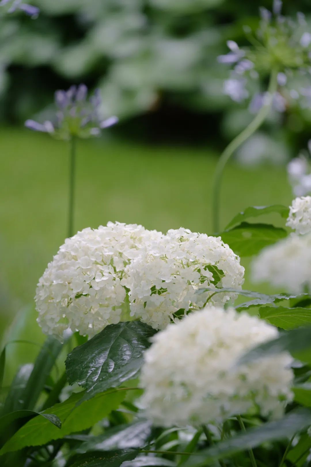 西投绿城·杭州云澜谷丨中国杭州丨ZSD卓时-27