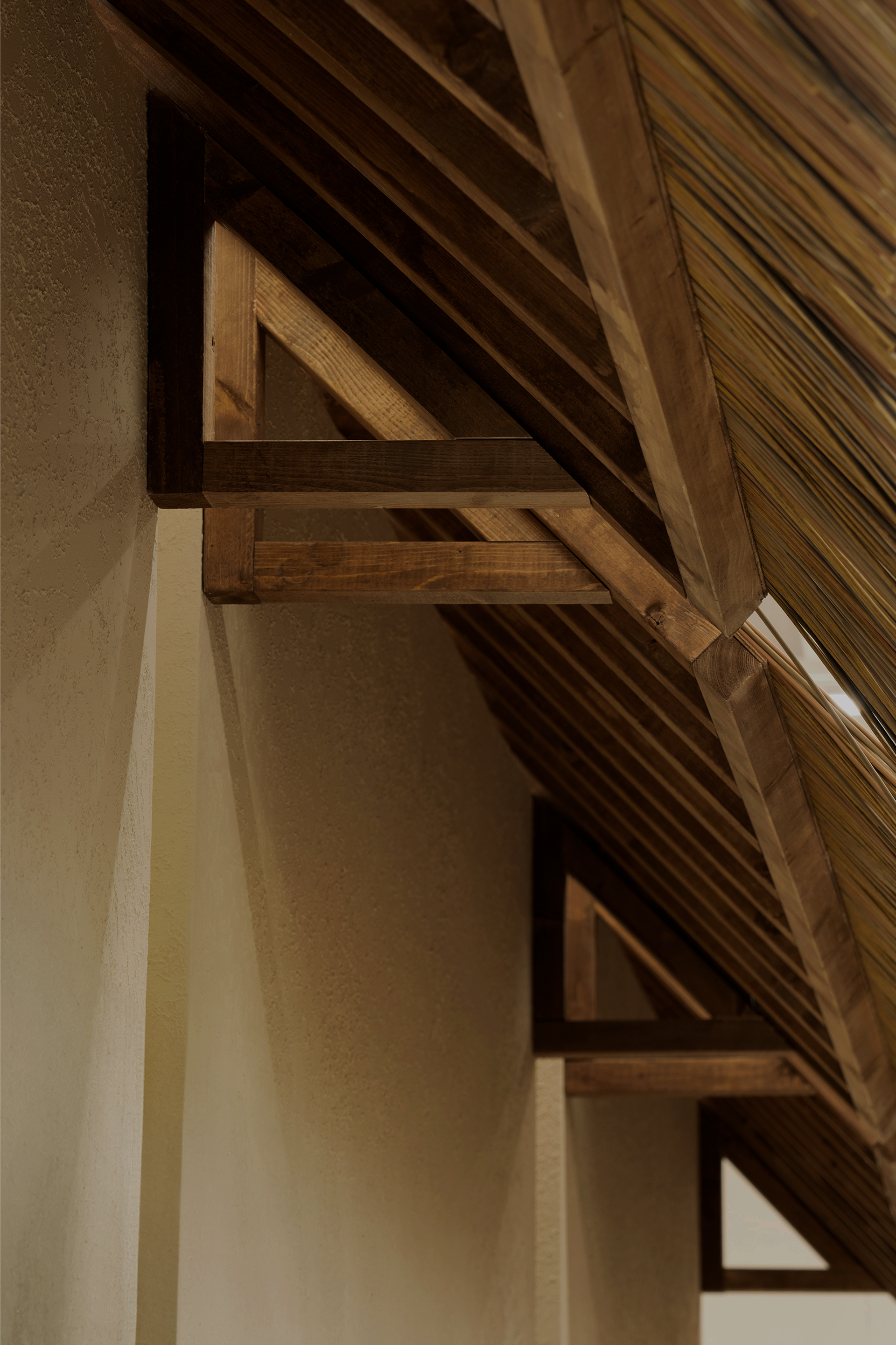 慕色家2025年春夏系列预览丨Docent Design-11