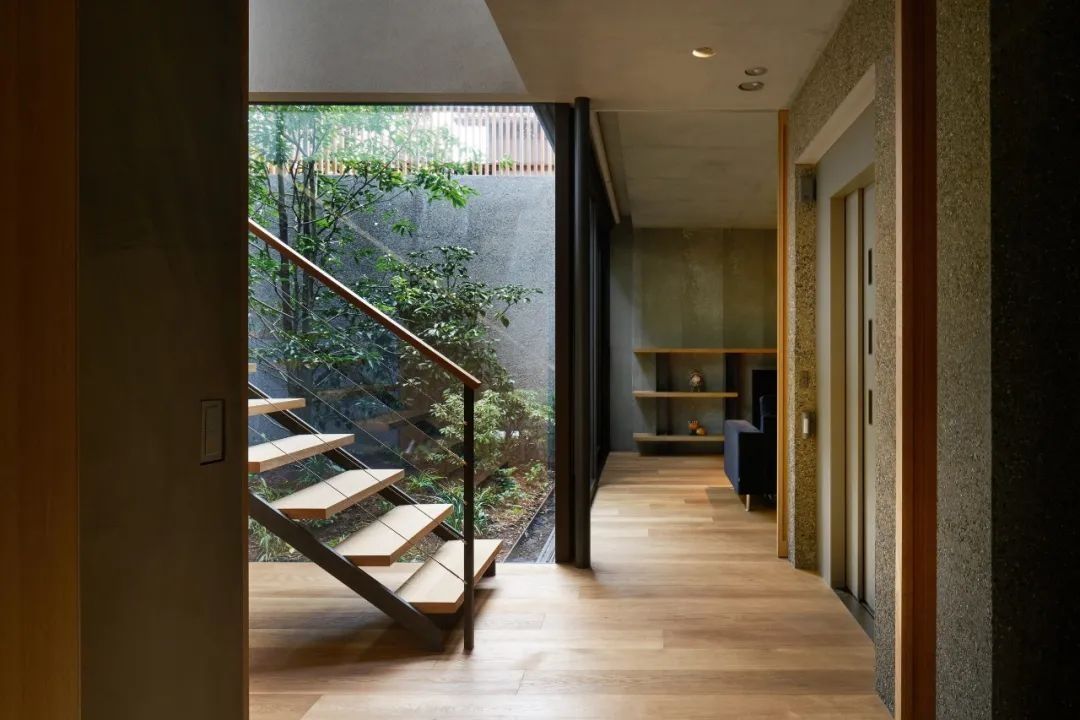 花园住宅丨日本东京丨Keiji Ashizawa Architects-55