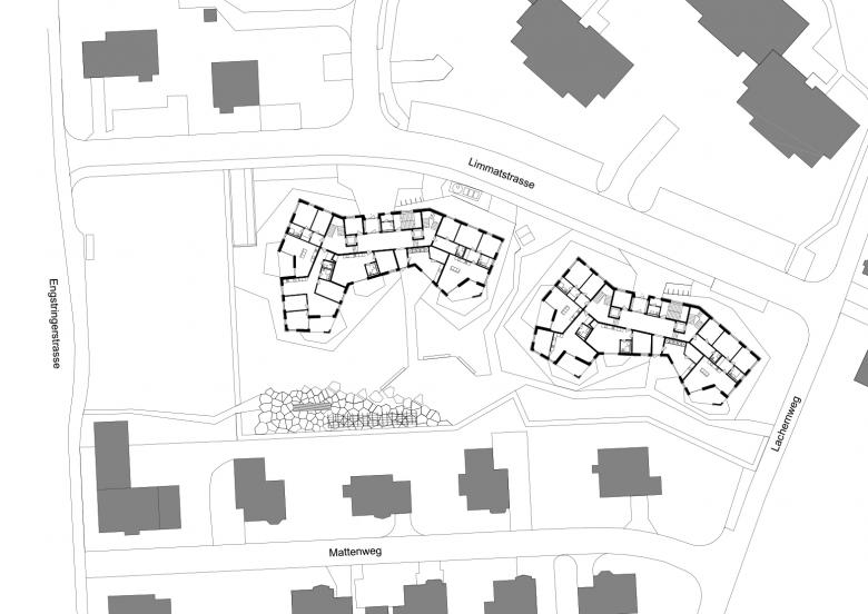 拉赫伦施利伦替代新建丨瑞士丨Duplex Architekten-2