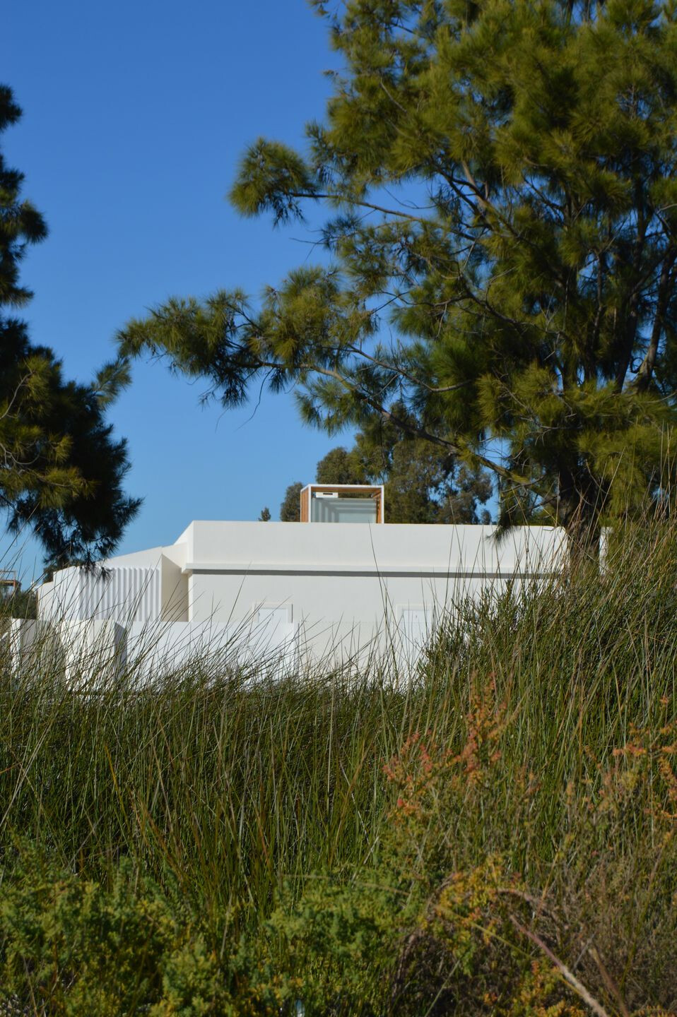 葡萄牙“破旧立新”度假屋-25