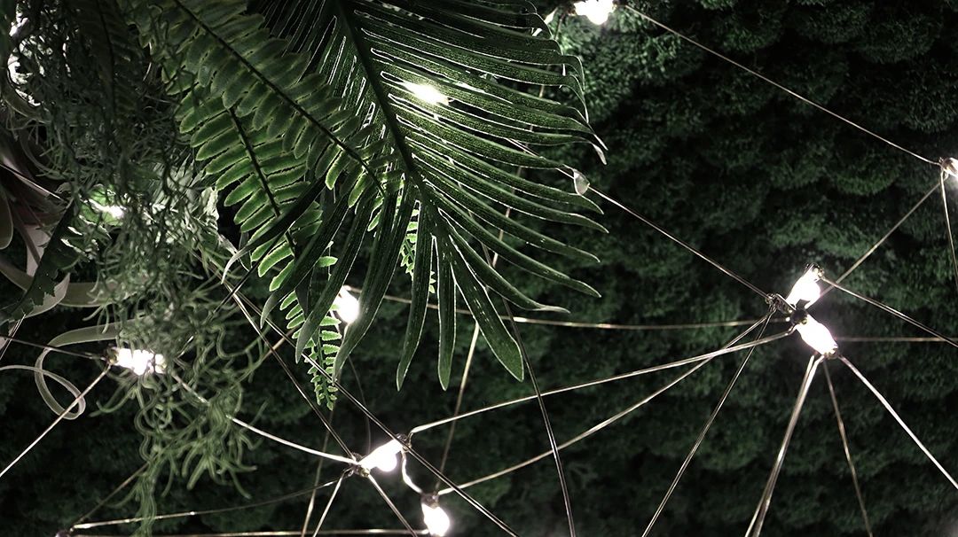 万科公园城市示范区-159