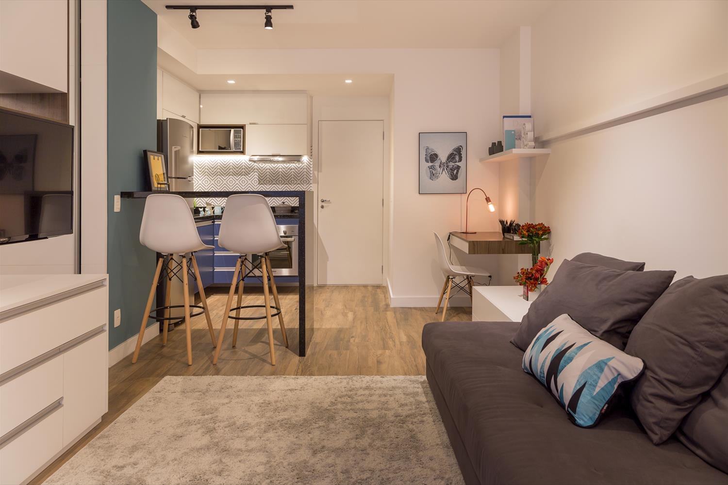 巴西经济适用公寓的精致设计-2