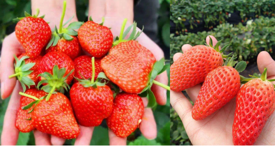 原生态景区中的热情团队之旅-54