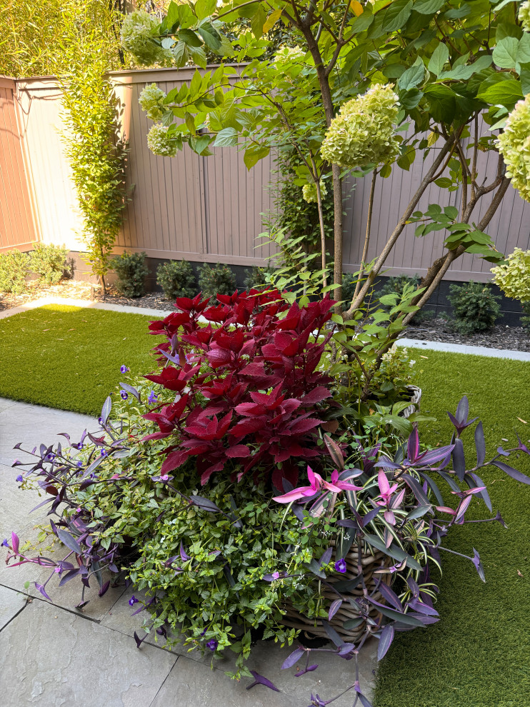 Brooklyn Heights reno-26