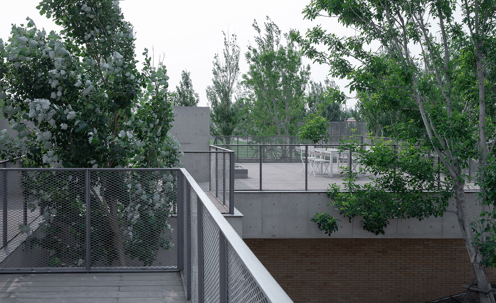 海边y餐厅，秦皇岛 / 直向建筑-20